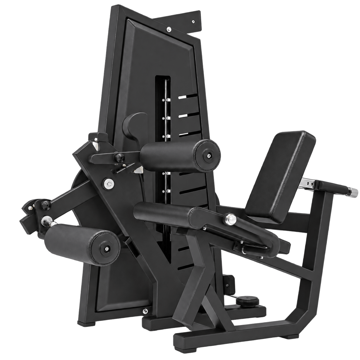 Leg Curl/Extension